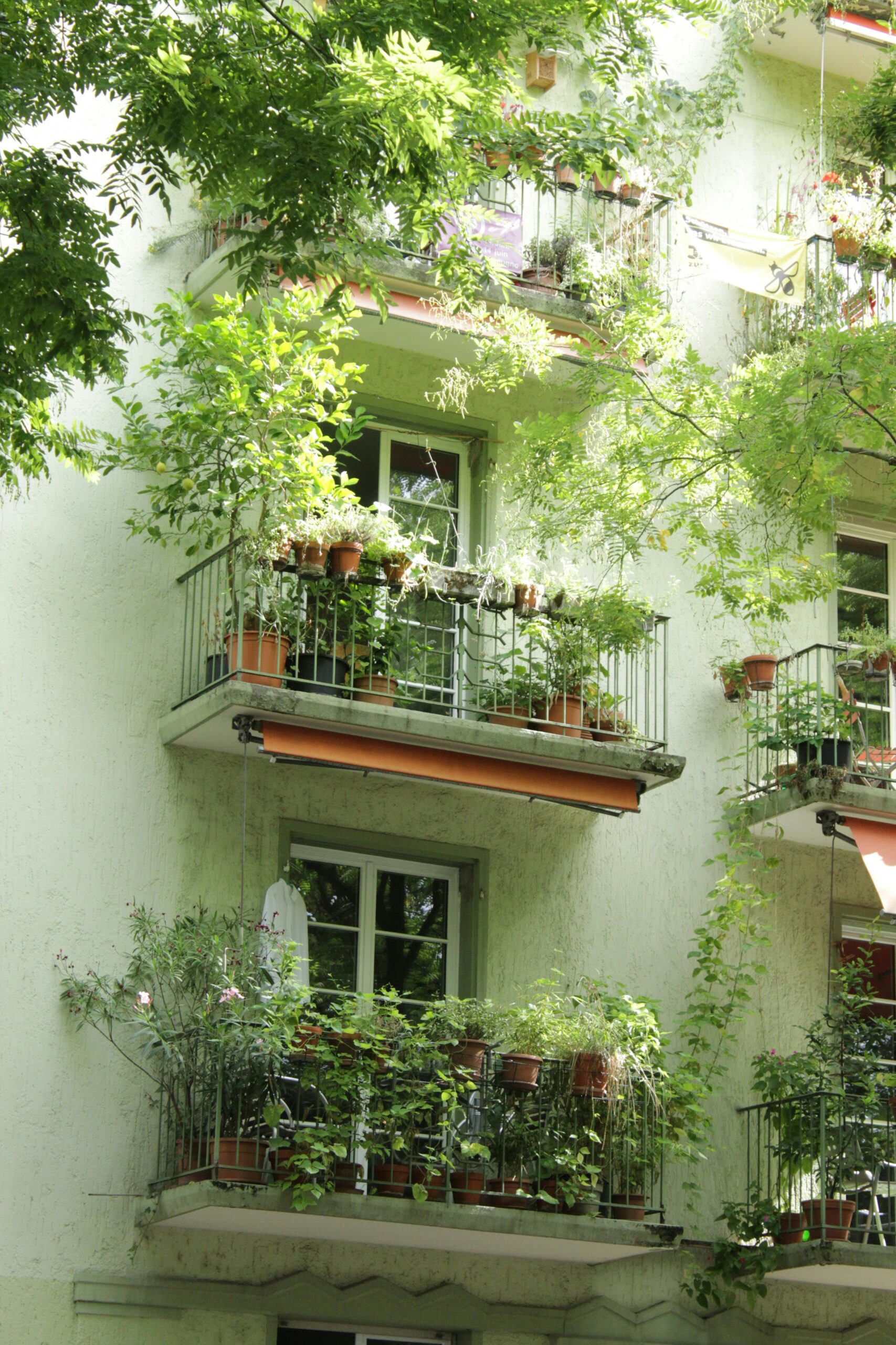 Best Plants and Planters for Balcony: Makeover Your Outdoor Balcony with Style