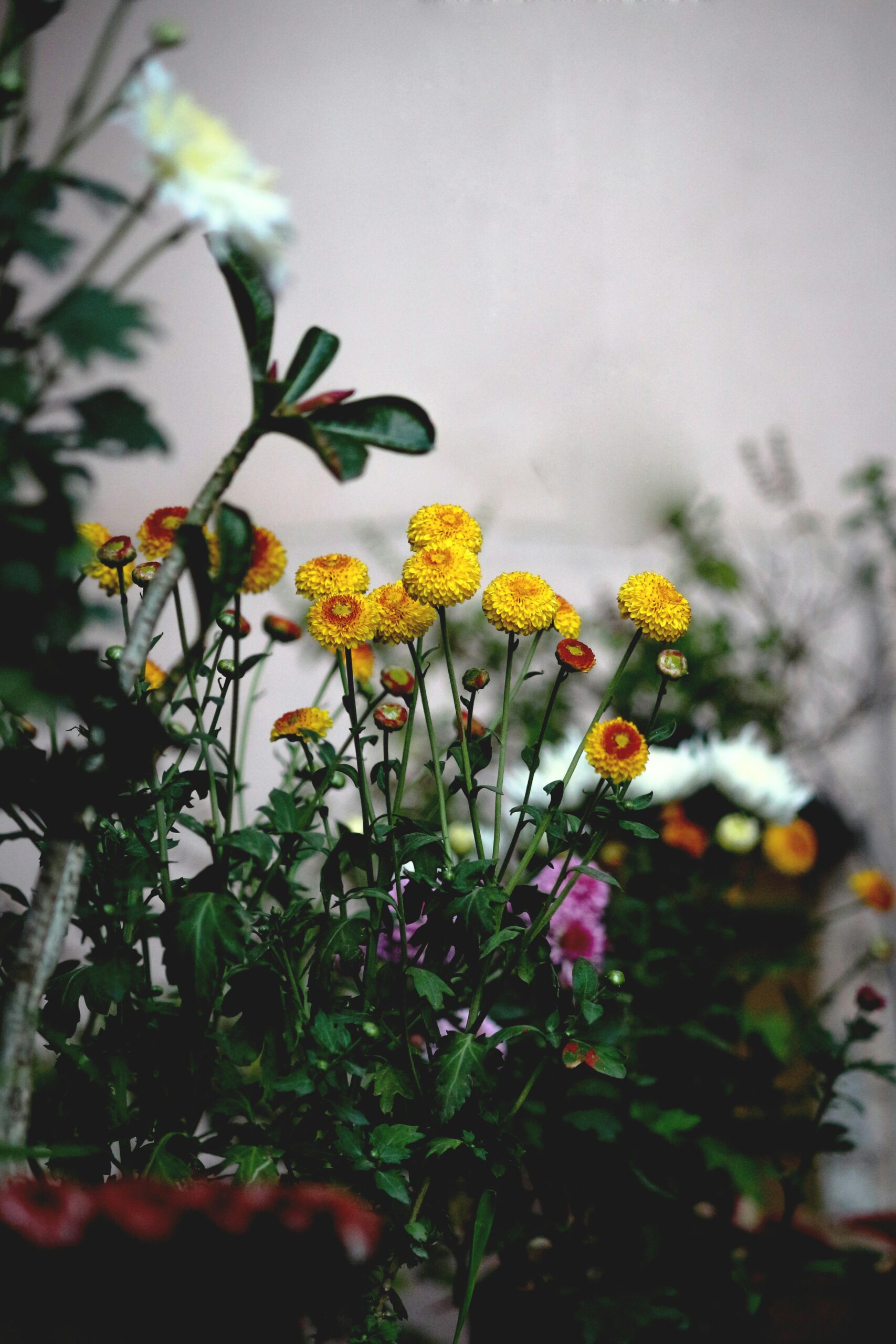 These Smart Devices Can Keep Your Garden Alive When You’re Away