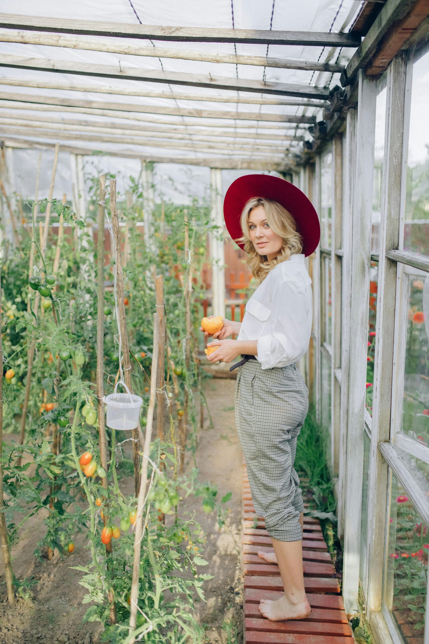A Step-by-Step Guide to Planting Your Summer Vegetables