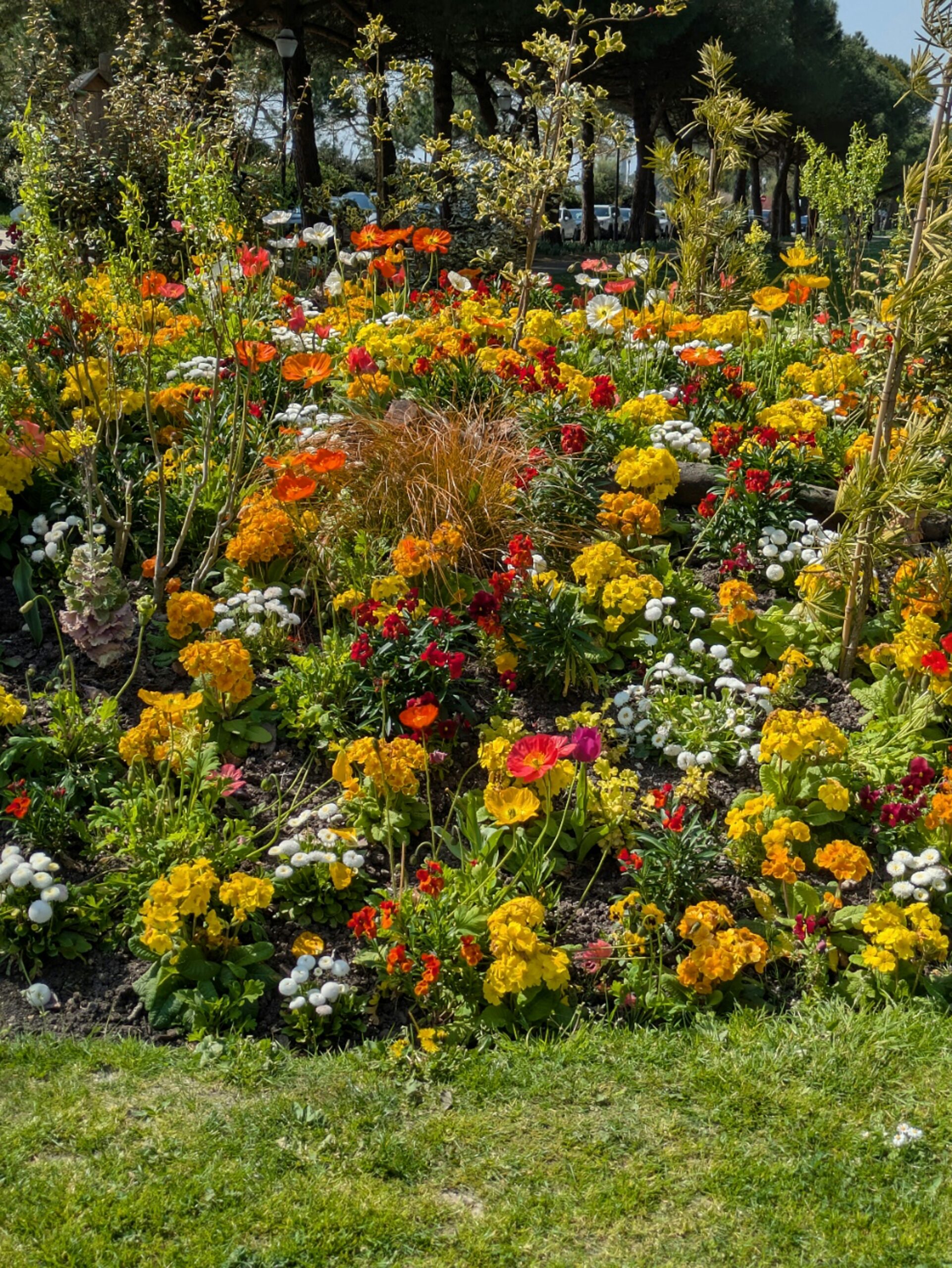17 Fall Flowers That Will Keep Your Garden Blooming All Season Long