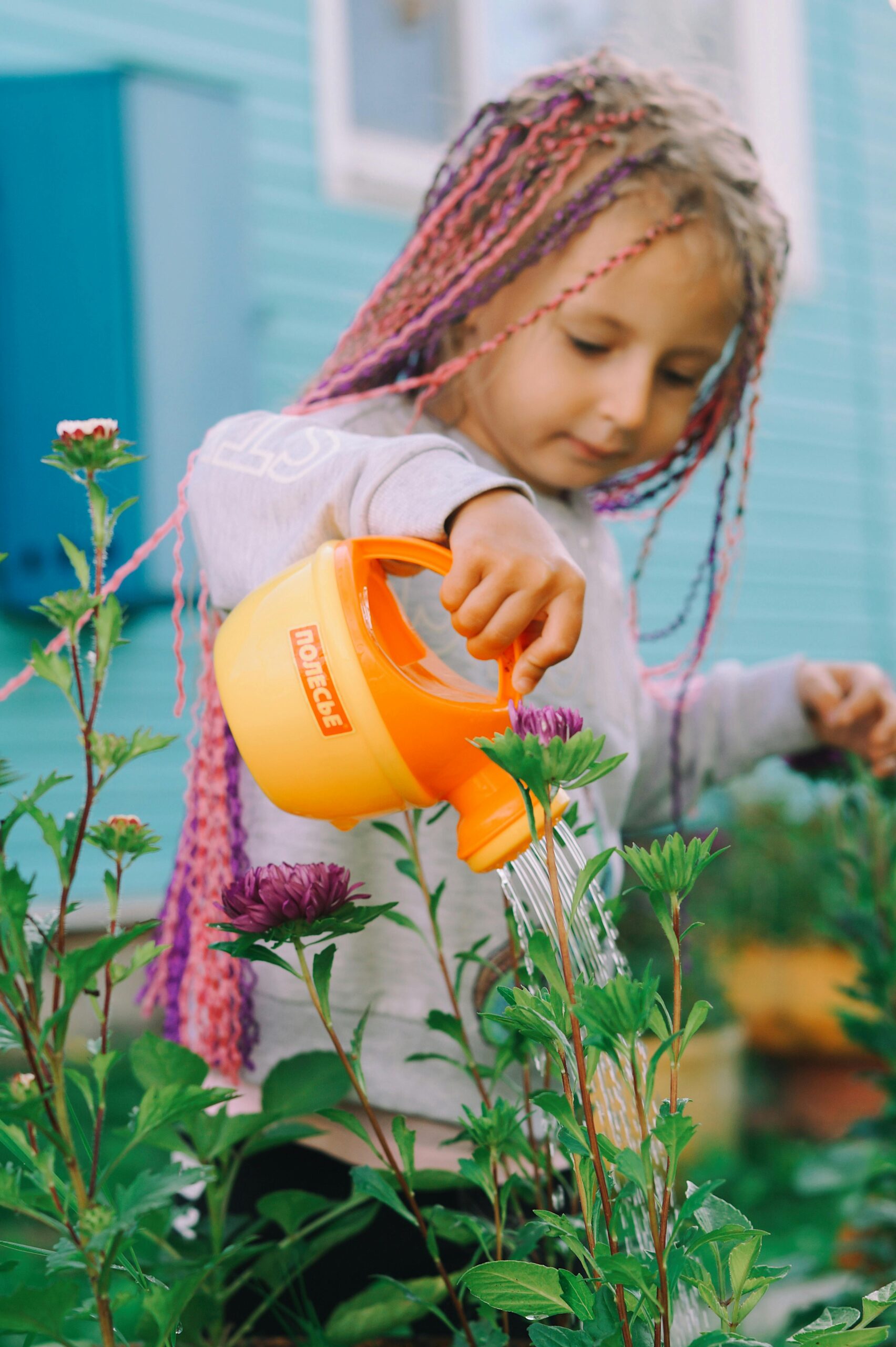 Garden Watering Strategies – How to Save Time, Effort and Money!