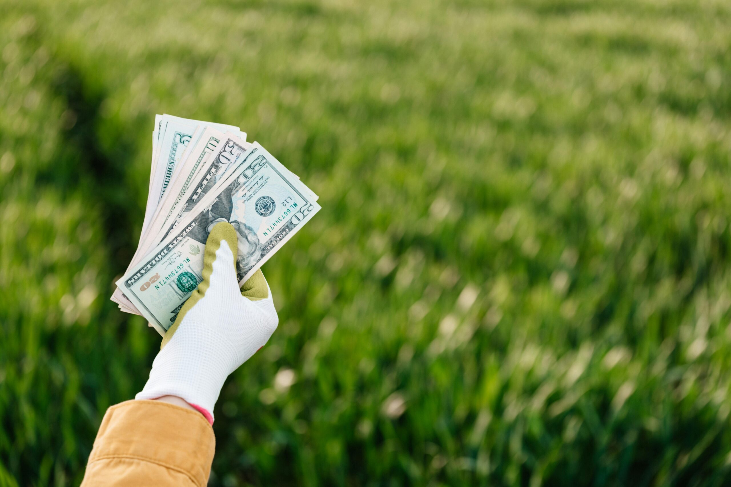 Save Time and Money with Chop and Drop